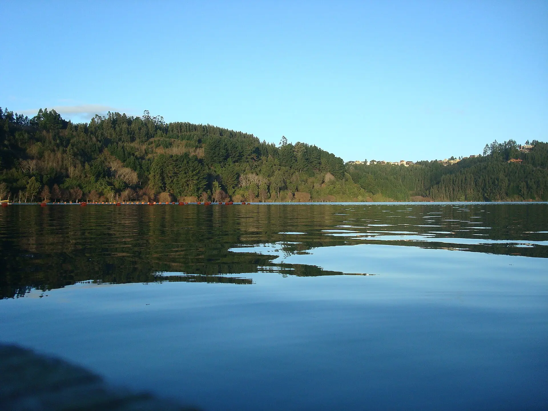 Laguna rodeada de bosque nativo en la Región del Biobío.