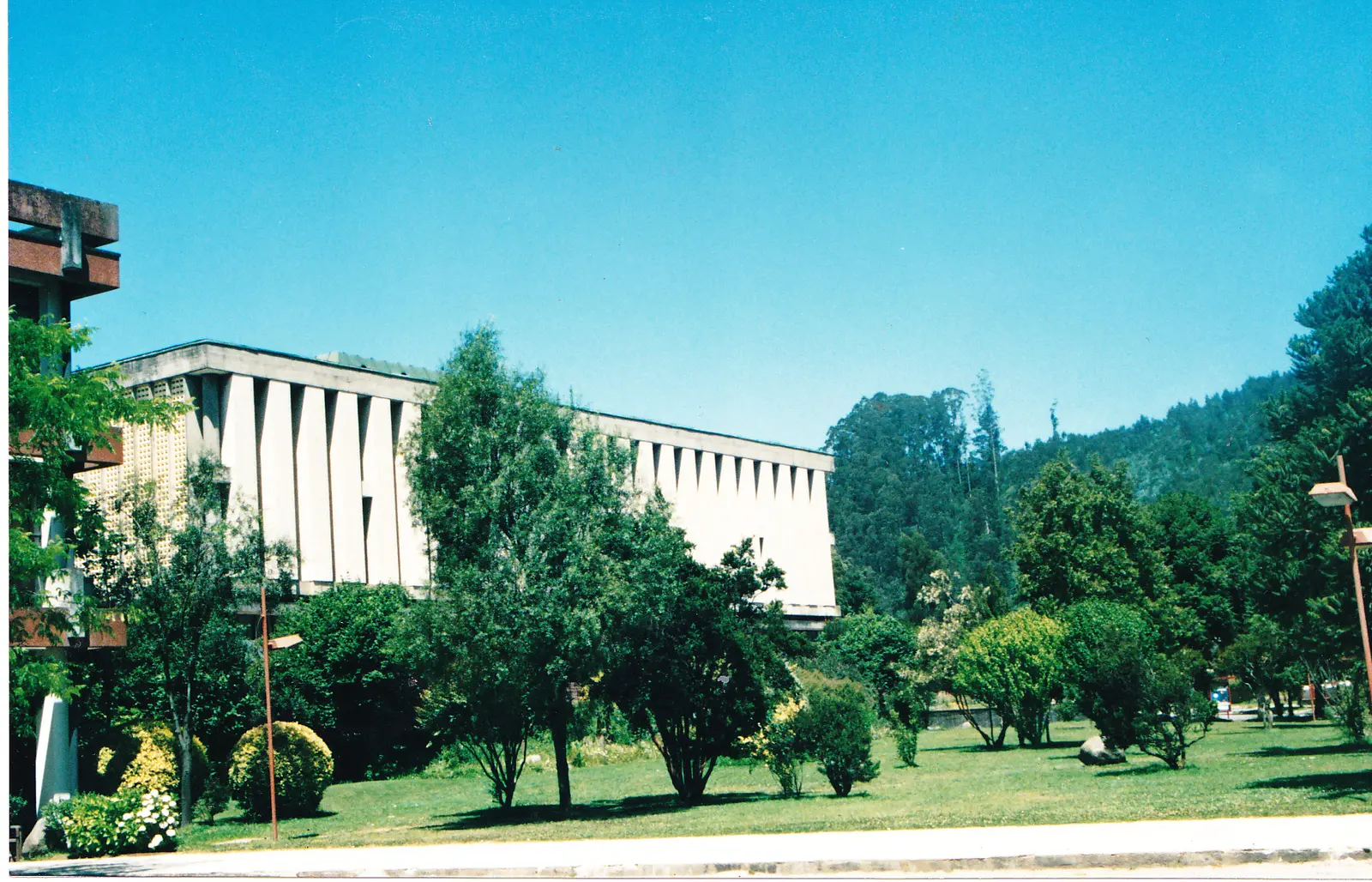Prados y árboles del campus Concepción frente a la Biblioteca de la Universidad de Concepción.