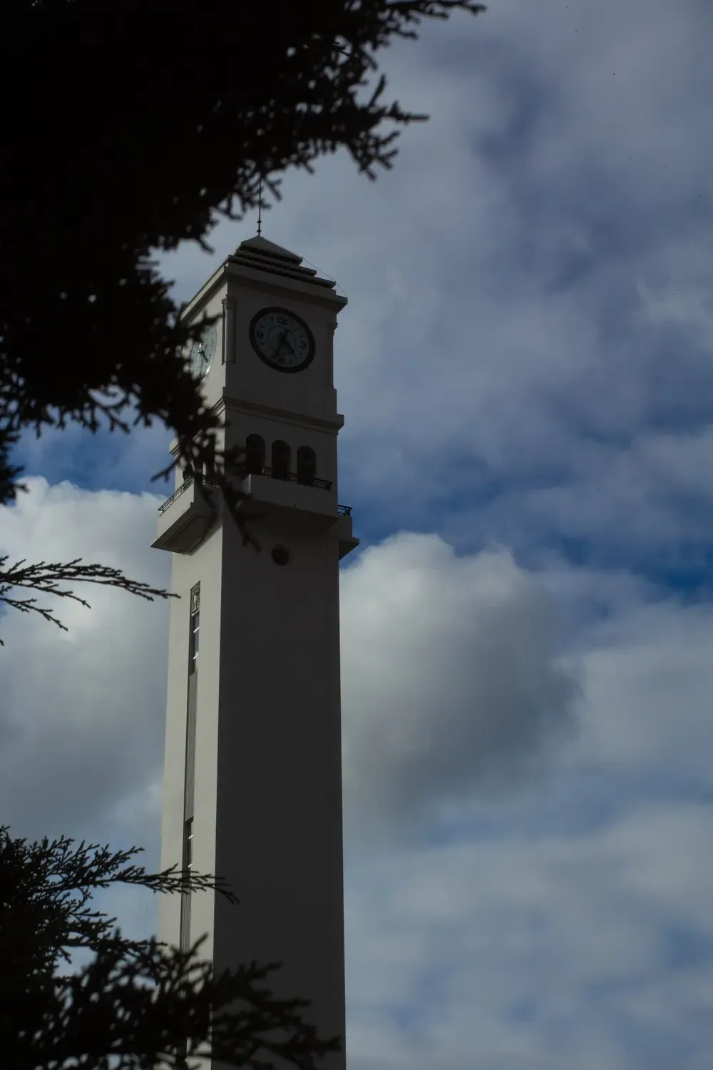 El Campanil visto desde el Foro de la Universidad de Concepción, entre ramas de árboles.